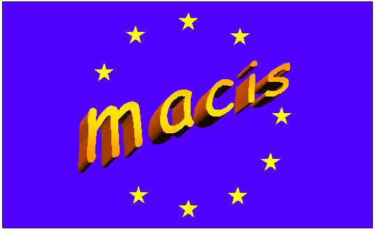 MACIS - Development of a Management Curriculum on and for the Information Society