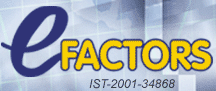 E-factors: A Thematic Network in E-Business Models